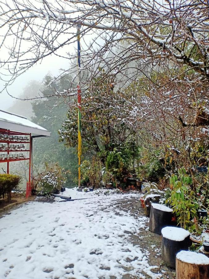 Hermit Retreat Dardzsiling Kültér fotó